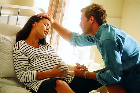 专家